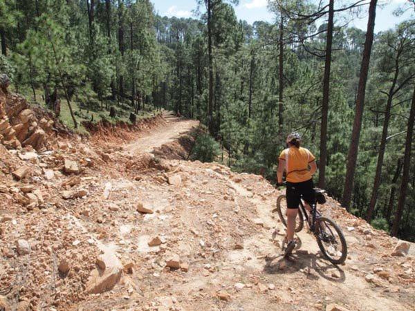 Uttarakhand Resort Каусани Экстерьер фото