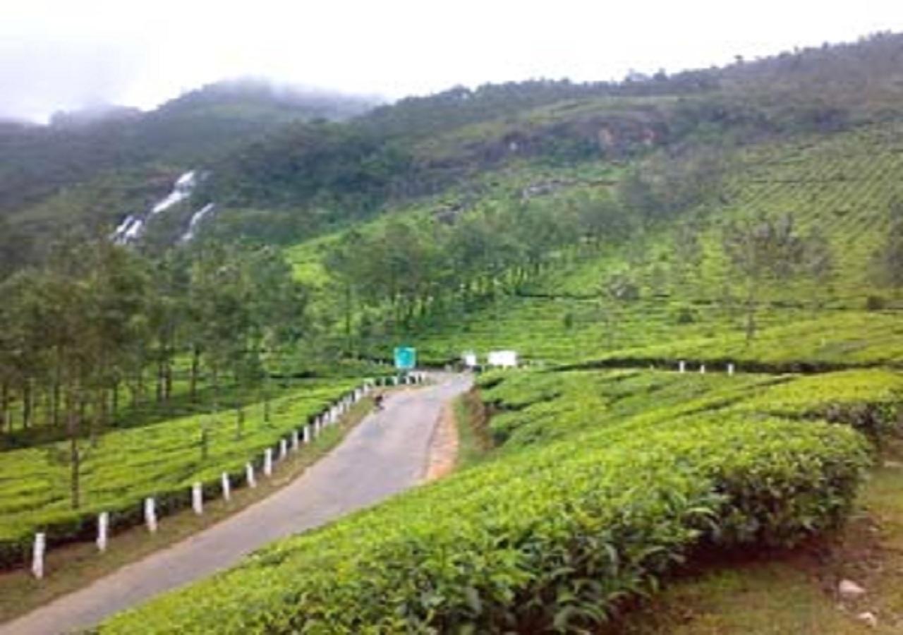 Uttarakhand Resort Каусани Экстерьер фото
