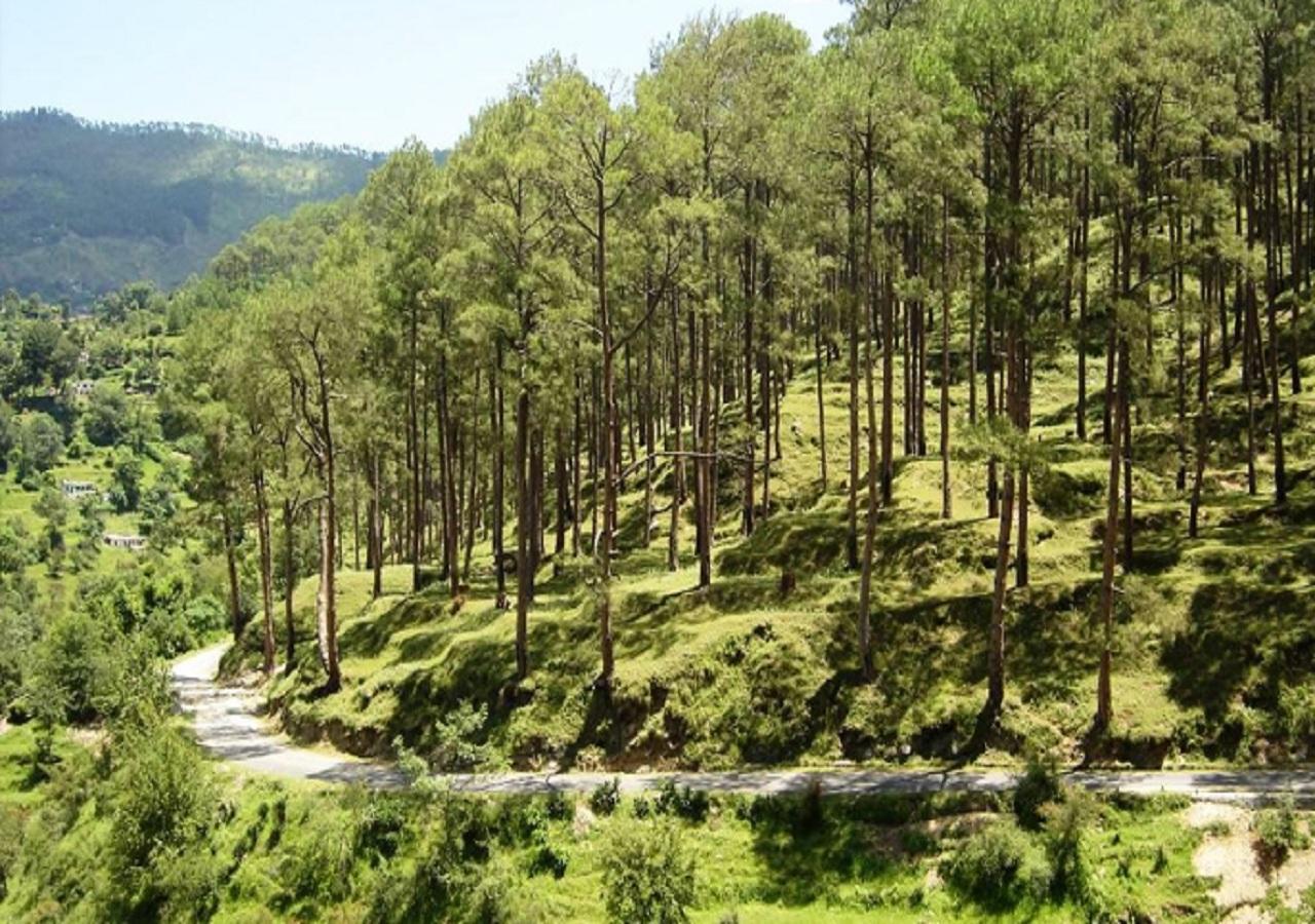 Uttarakhand Resort Каусани Экстерьер фото